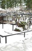 Туры в отель Koyasan Shukubo Soujiin Туры в отель Koyasan Shukubo Soujiin