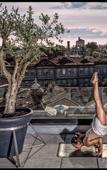 Туры в отель Hotel Moon & Sun Porto Туры в отель Hotel Moon & Sun Porto