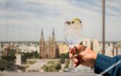 Туры в отель Grand Brizo La Plata Туры в отель Grand Brizo La Plata