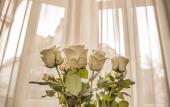 Туры в отель Elisabeth Old Town Туры в отель Elisabeth Old Town
