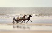 Туры в отель Novotel Deauville Plage Туры в отель Novotel Deauville Plage
