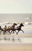 Туры в отель Novotel Deauville Plage Туры в отель Novotel Deauville Plage