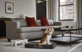 Туры в отель Pendry Chicago Туры в отель Pendry Chicago