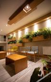 Туры в отель Hotel EcoSki by bund Туры в отель Hotel EcoSki by bund