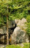 Туры в отель DoubleTree by Hilton North Vancouver Туры в отель DoubleTree by Hilton North Vancouver