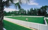 Туры в отель Saddlebrook Resort Туры в отель Saddlebrook Resort