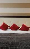 Туры в отель Hilton Geneva Hotel and Conference Centre Туры в отель Hilton Geneva Hotel and Conference Centre