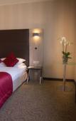 Туры в отель Hilton Geneva Hotel and Conference Centre Туры в отель Hilton Geneva Hotel and Conference Centre