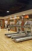 Туры в отель Holiday Inn Hohhot Туры в отель Holiday Inn Hohhot