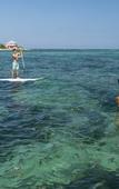Туры в отель The Reef Beach Resort, East End, Grand Cayman Туры в отель The Reef Beach Resort, East End, Grand Cayman