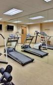 Туры в отель Holiday Inn Hotel & Suites (Чикаго (Иллинойс)) Туры в отель Holiday Inn Hotel & Suites (Чикаго (Иллинойс))