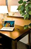 Туры в отель Holiday Inn Hotel & Suites (Чикаго (Иллинойс)) Туры в отель Holiday Inn Hotel & Suites (Чикаго (Иллинойс))