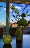 Туры в отель June Six Hotel Туры в отель June Six Hotel