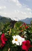 Туры в отель Hotel Bernerhof Туры в отель Hotel Bernerhof