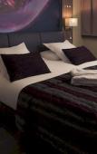 Туры в отель Mercure Beaune Centre Туры в отель Mercure Beaune Centre