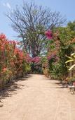 Туры в отель Les Villas Ottalia Yoga and Diving, Gili Meno Туры в отель Les Villas Ottalia Yoga and Diving, Gili Meno