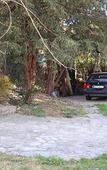 Туры в отель Bed and Breakfast Casa Nini Туры в отель Bed and Breakfast Casa Nini