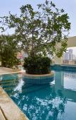Туры в отель Grand Mercure Bangkok Atrium Туры в отель Grand Mercure Bangkok Atrium