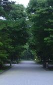 Туры в отель Karuizawa Marriott Hotel Туры в отель Karuizawa Marriott Hotel