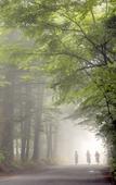 Туры в отель Karuizawa Marriott Hotel Туры в отель Karuizawa Marriott Hotel