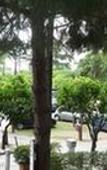 Туры в отель Hotel Zeus Pompei Туры в отель Hotel Zeus Pompei