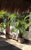 Туры в отель Villa Sisavad Guesthouse Туры в отель Villa Sisavad Guesthouse