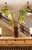 Туры в отель Porto Spot Hostel Туры в отель Porto Spot Hostel