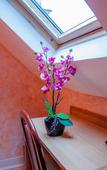 Туры в отель Hotel Leonard de Vinci Туры в отель Hotel Leonard de Vinci