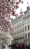 Туры в отель Hotel des Celestins Туры в отель Hotel des Celestins