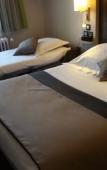 Туры в отель Hotel Albert Elisabeth Gare SNCF Туры в отель Hotel Albert Elisabeth Gare SNCF