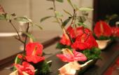 Туры в отель Luyu Narada Resort Туры в отель Luyu Narada Resort