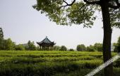 Туры в отель Luyu Narada Resort Туры в отель Luyu Narada Resort