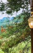 Туры в отель No.5 Valley Lodge Туры в отель No.5 Valley Lodge