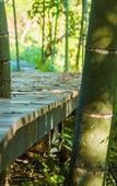 Туры в отель No.5 Valley Lodge Туры в отель No.5 Valley Lodge