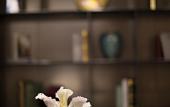 Туры в отель Paco Hotel (Guangzhou Huanshi East Road) Туры в отель Paco Hotel (Guangzhou Huanshi East Road)
