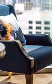 Туры в отель Hyatt Centric Las Olas Fort Lauderdale Туры в отель Hyatt Centric Las Olas Fort Lauderdale