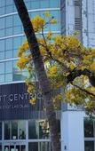 Туры в отель Hyatt Centric Las Olas Fort Lauderdale Туры в отель Hyatt Centric Las Olas Fort Lauderdale