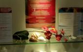 Туры в отель Hotel Orientale Туры в отель Hotel Orientale