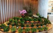 Туры в отель Shidao Celebrity Hotel Туры в отель Shidao Celebrity Hotel