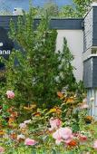 Туры в отель Hotel Diana Restaurant & Spa by Happyculture Туры в отель Hotel Diana Restaurant & Spa by Happyculture