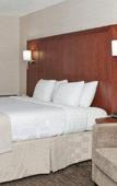 Туры в отель Holiday Inn Oakville Centre Туры в отель Holiday Inn Oakville Centre