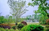 Туры в отель Parkview International Hotel Туры в отель Parkview International Hotel