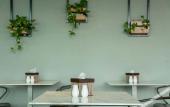 Туры в отель Felicity Island Hotel Туры в отель Felicity Island Hotel