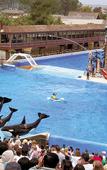 Туры в отель Holiday Inn On The Bay Туры в отель Holiday Inn On The Bay