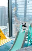 Туры в отель Hilton Yancheng Туры в отель Hilton Yancheng