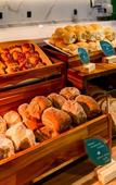 Туры в отель Hilton Garden Inn Reboucas Туры в отель Hilton Garden Inn Reboucas