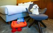 Туры в отель Hilton Garden Inn Reboucas Туры в отель Hilton Garden Inn Reboucas