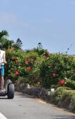Туры в отель Hotel SeaBreeze Coral Туры в отель Hotel SeaBreeze Coral
