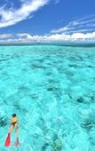 Туры в отель Hotel SeaBreeze Coral Туры в отель Hotel SeaBreeze Coral