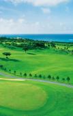 Туры в отель Hotel SeaBreeze Coral Туры в отель Hotel SeaBreeze Coral